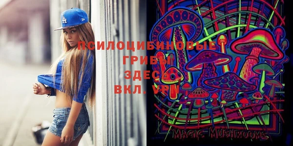прущие крисы Баксан