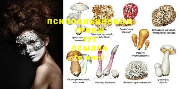 дурь Балахна