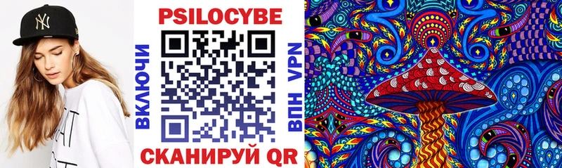 хочу наркоту  Урус-Мартан  Галлюциногенные грибы Psilocybe 
