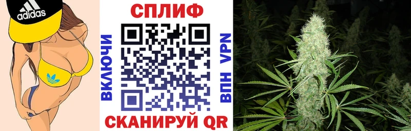 МАРИХУАНА White Widow  Урус-Мартан 